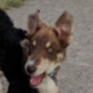 Meet your Posher, Ken